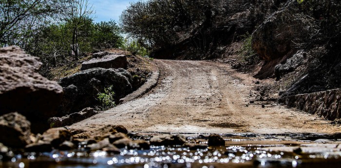 Un integrante del Rally Mundial dio positivo de coronavirus